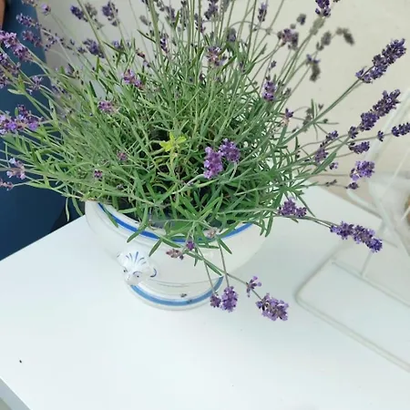 La Valle Incantata Panzió Villanova d'Asti